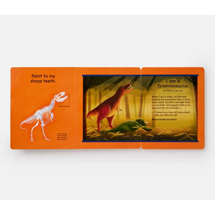 Phaidon - Wholesale Fantasy - Who's That Dinosaur?8