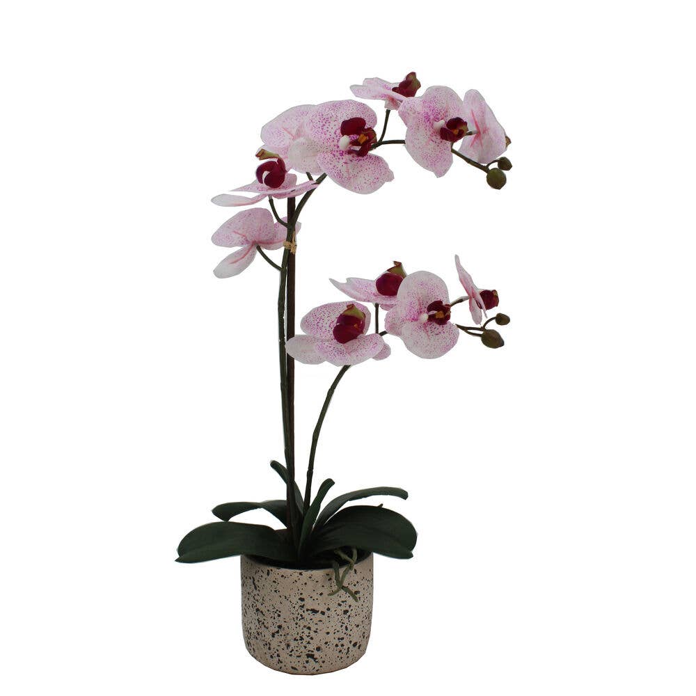 Mikasa 21inch Pink Artificial Orchid in Spotted Pot for wholesale on Faire2