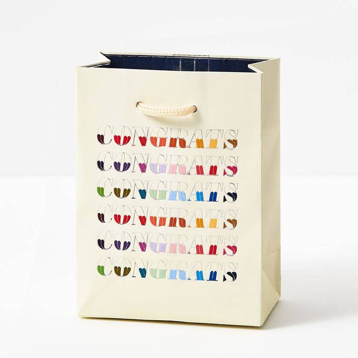 Paper Source Wholesale – wholesale Presentpåse – Färgglada grattis presentpåse