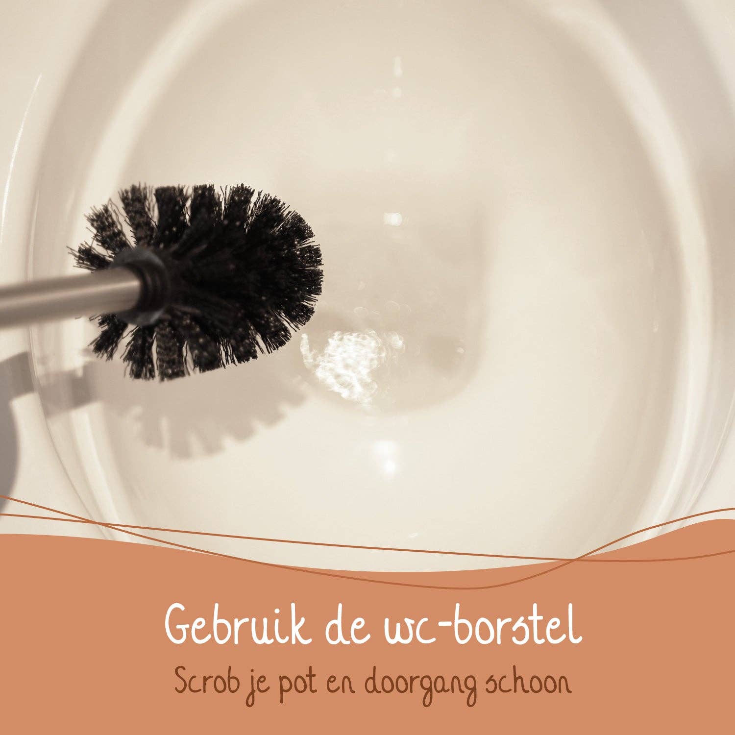 Bamboozy x Cosmeau – wholesale Toalettrengöring – Cosmeau toalettrengöringsremsor i papper7