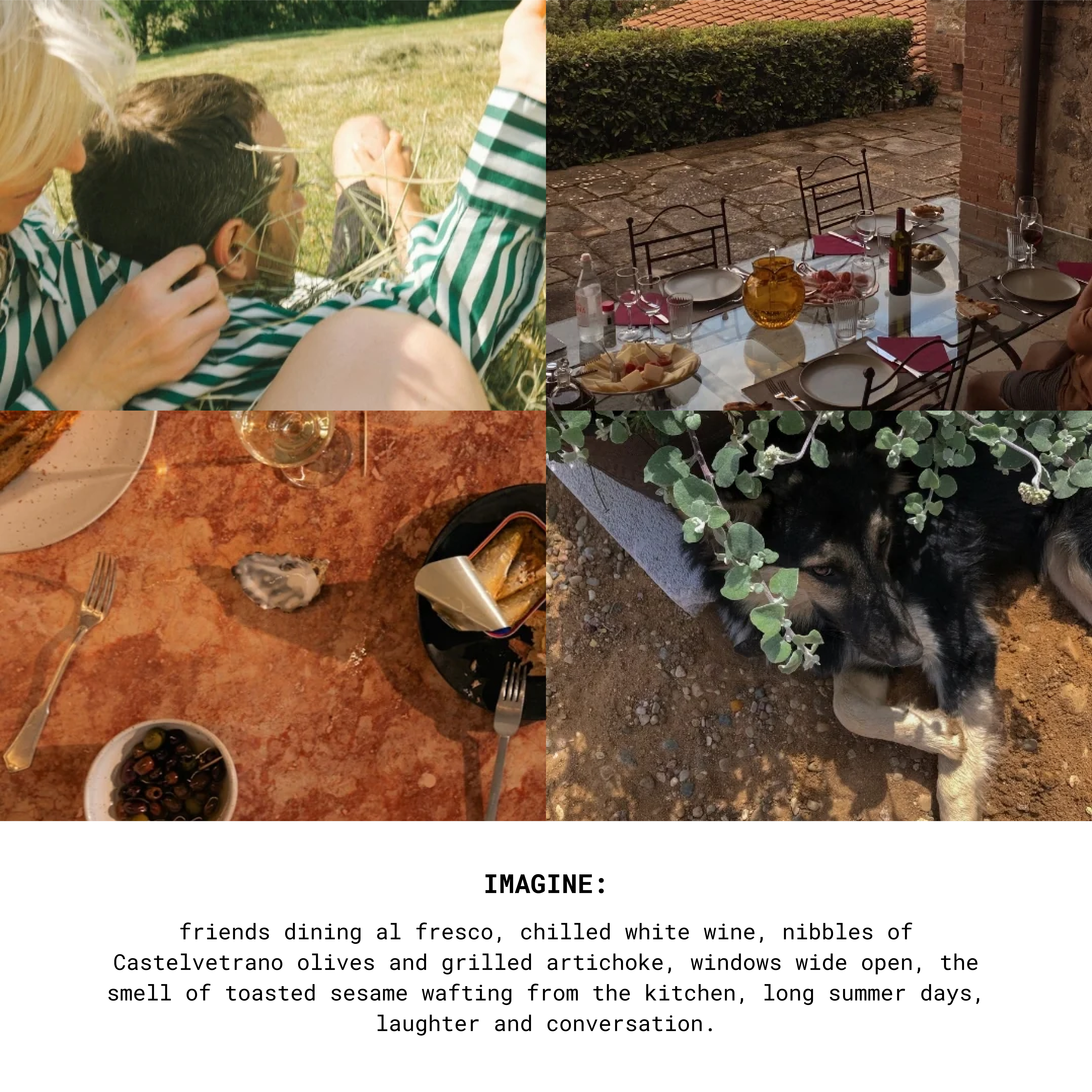 THE NEW SAVANT - Vente Bougie en bocal - Bougie Éclat d'Été6