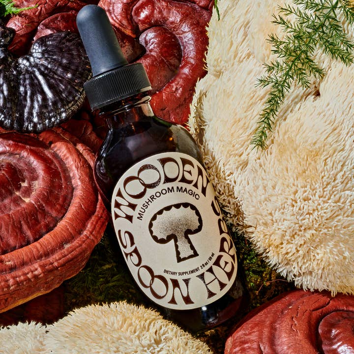 Wooden Spoon Herbs - Wholesale Tincture - Mushroom Magic