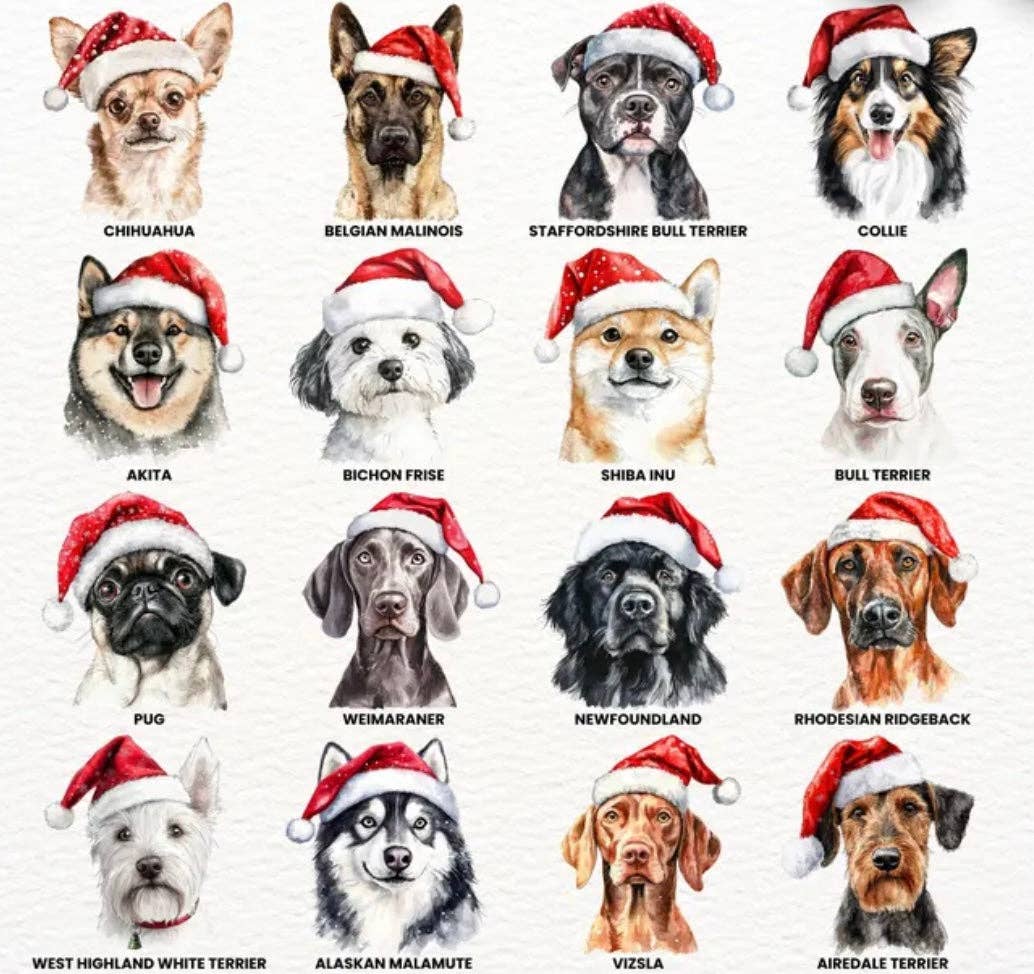 Cotton & Crate - Vente Coussin décoratif - Housse de Coussin pour Chien 45x45 cm3