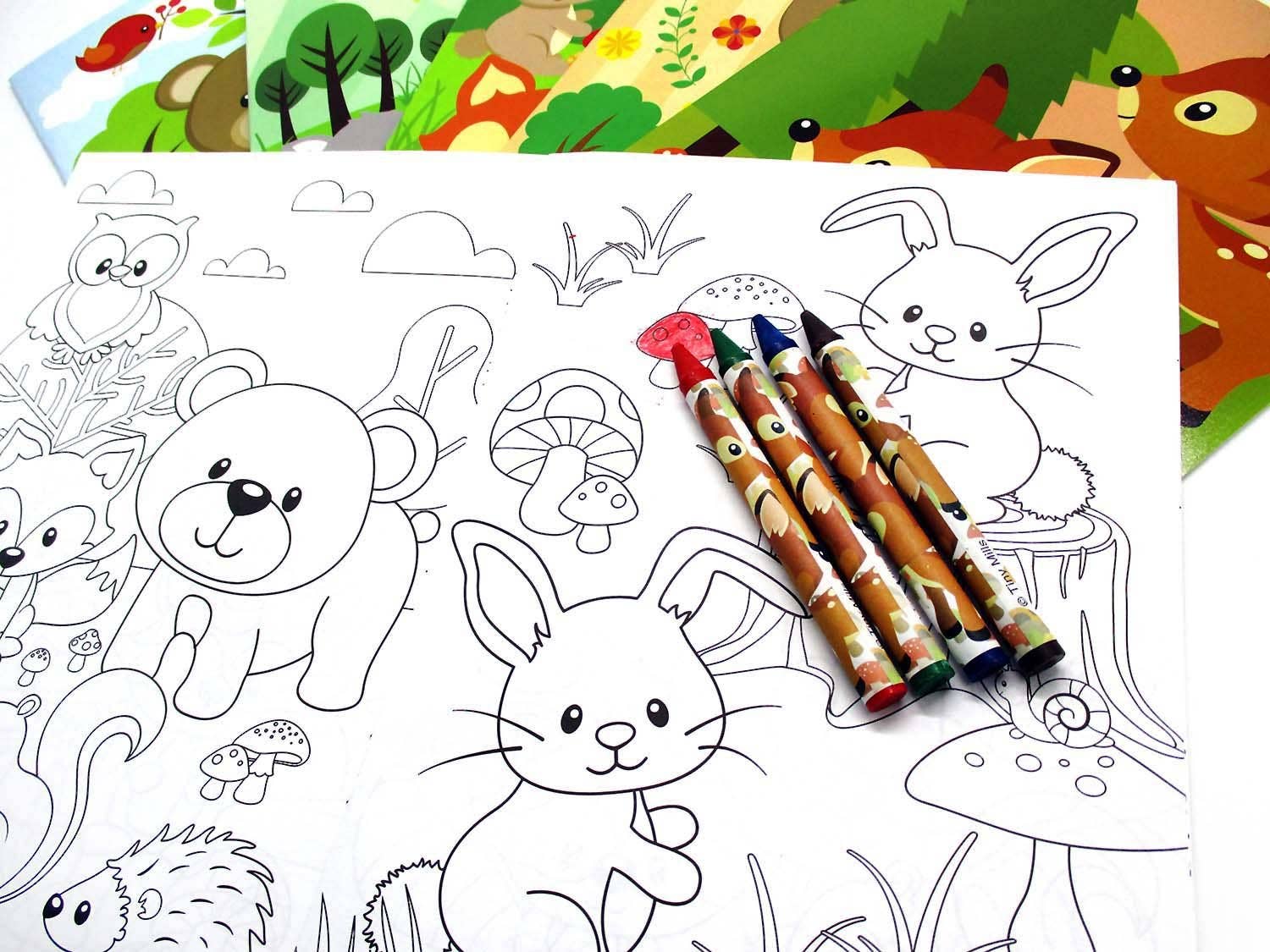 Tiny Mills - Vente Livre de coloriage et d'activités pour enfants et bébés - Lot de livres de coloriage pour animaux des bois avec des crayons de fête7