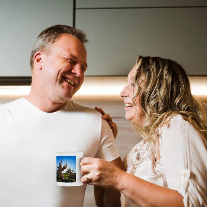 3dRose - Wholesale Coffee Mug - 3dRose, Two Backlit Ancient Pines in Inyo National Forest, Mug10