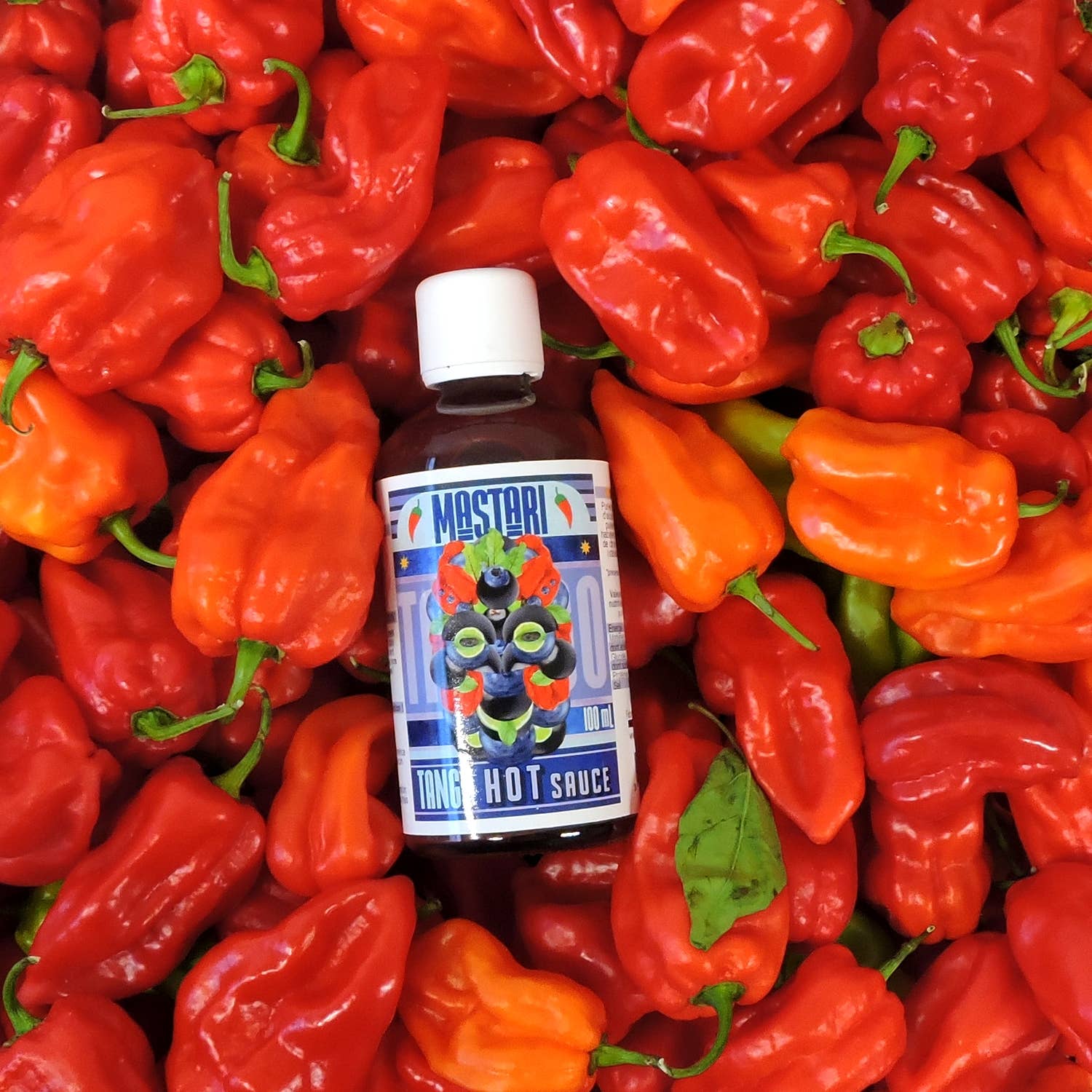 MASTARI - Vente Sauces piquantes - Sauce piquante TANGO / TANGO Hot sauce 🌶️1