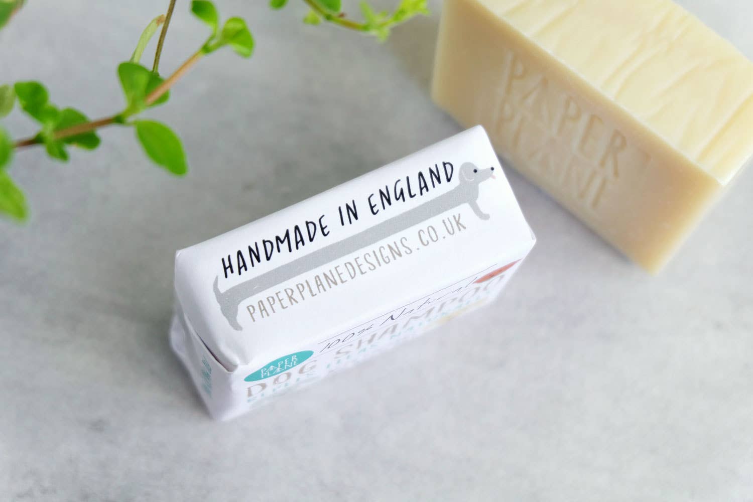 Paper Plane (US Duties Paid) - Wholesale Pet Shampoo - Dog - Dog Shampoo 100% Natural Vegan1