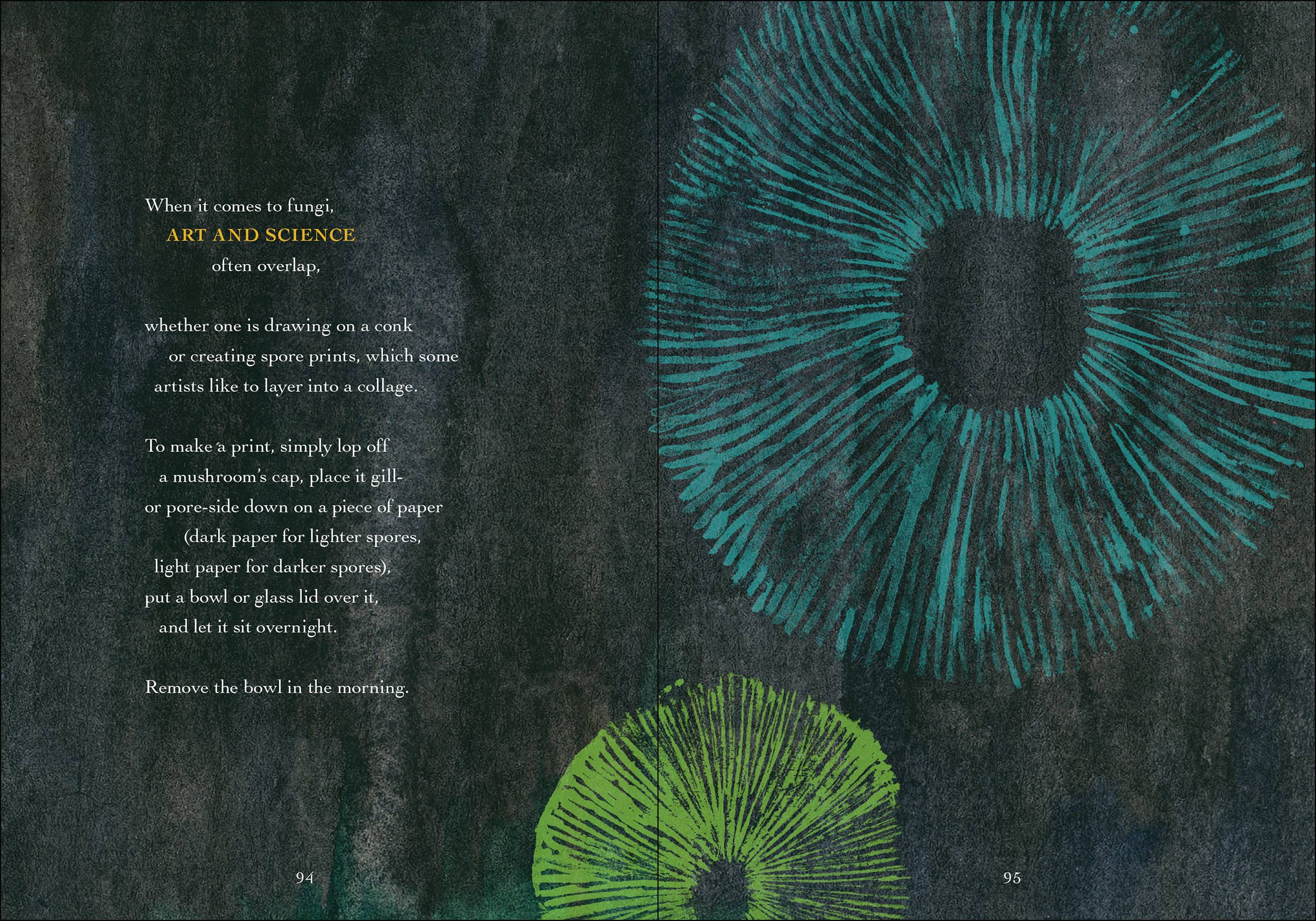 AdventureKEEN - Wholesale Nature & Outdoors - Wonder of Mushrooms4