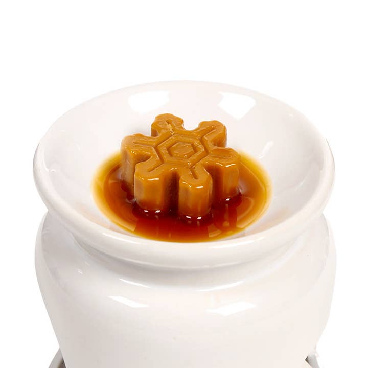 Puckator Ltd - Wholesale Wax Melt - Winter Spice Christmas Botanicals Set of 5 Shaped Wax Melts4