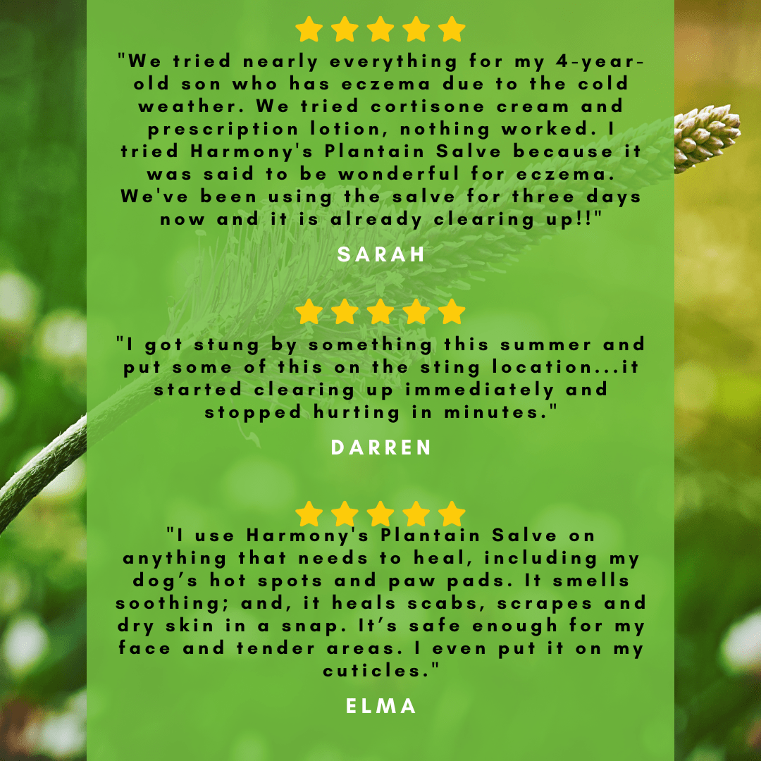 Healthy Energy Amazing Life - Vente Crème/baume/pommade cicatrisante - Baumes de Plantain H.E.A.L. - ANCIEN EMBALLAGE10