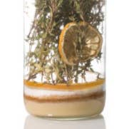 Délices Métisses - Wholesale Cocktail Mix/Syrup - Preparations “Honey Thyme Lemon” for Arranged Rums 1L1