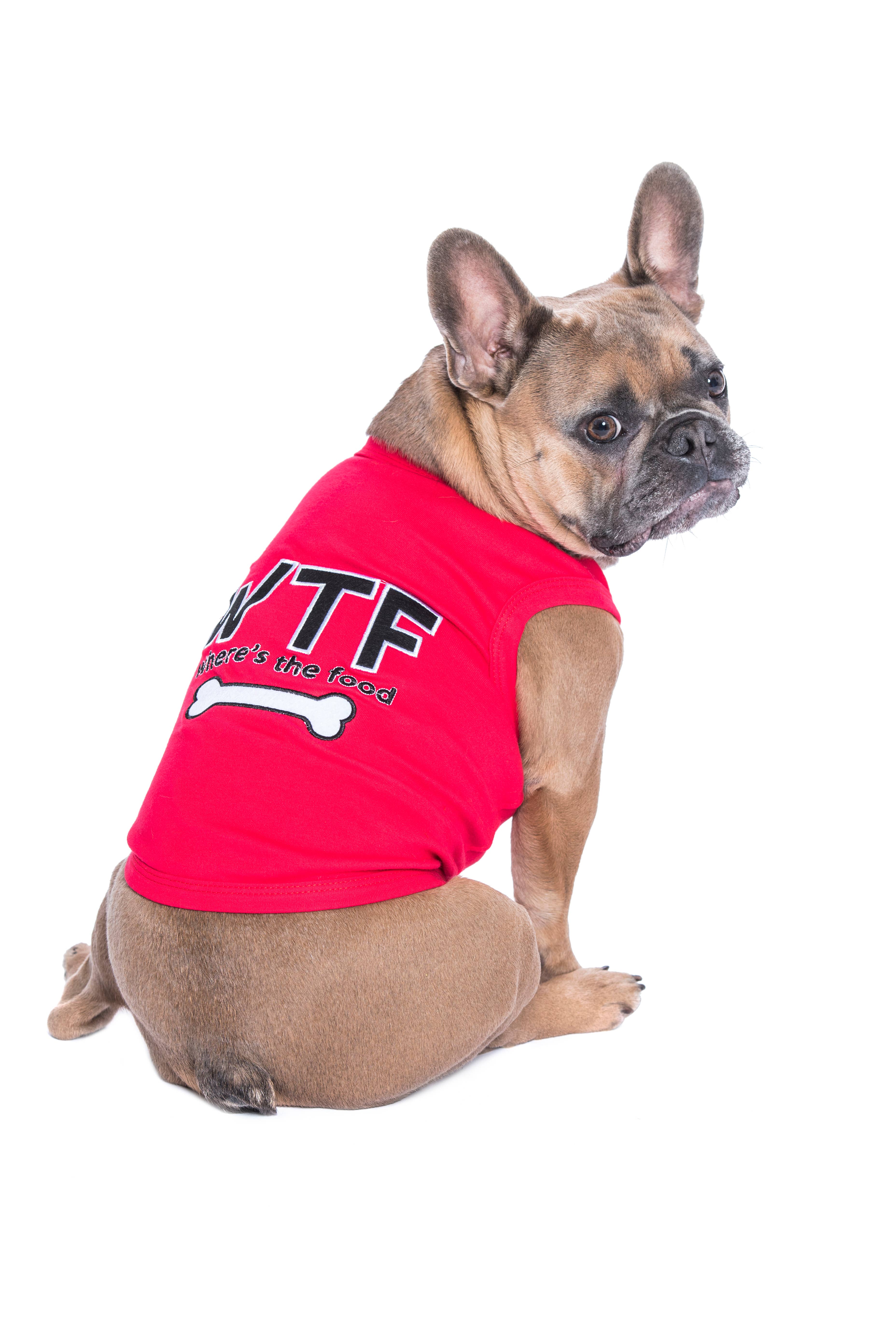 Parisian Pet® - Vente Chemise – chien - T-shirt Chien WTF – Tee-shirt Amusant & Tendance pour Animaux3