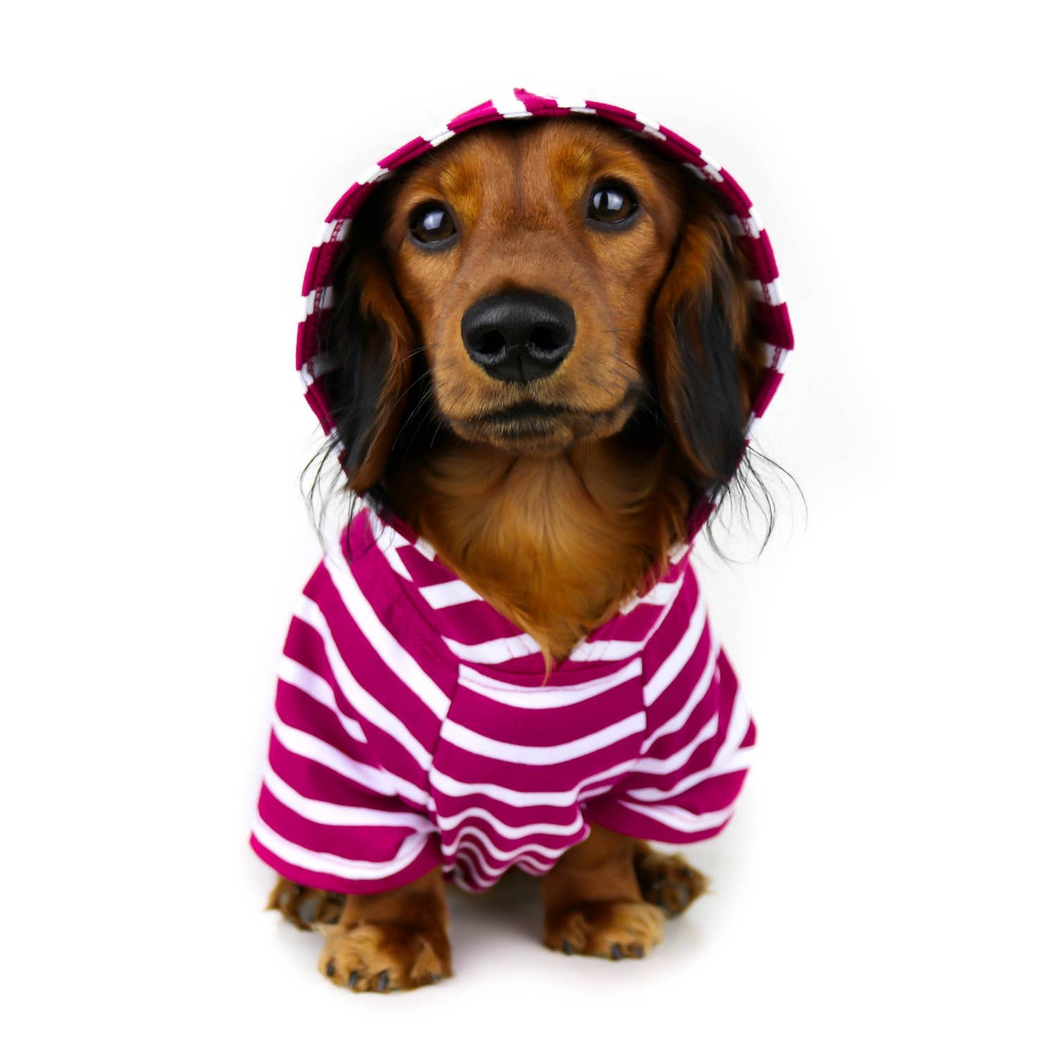 Dog Hoodie - Boysenberry for wholesale by DJANGO