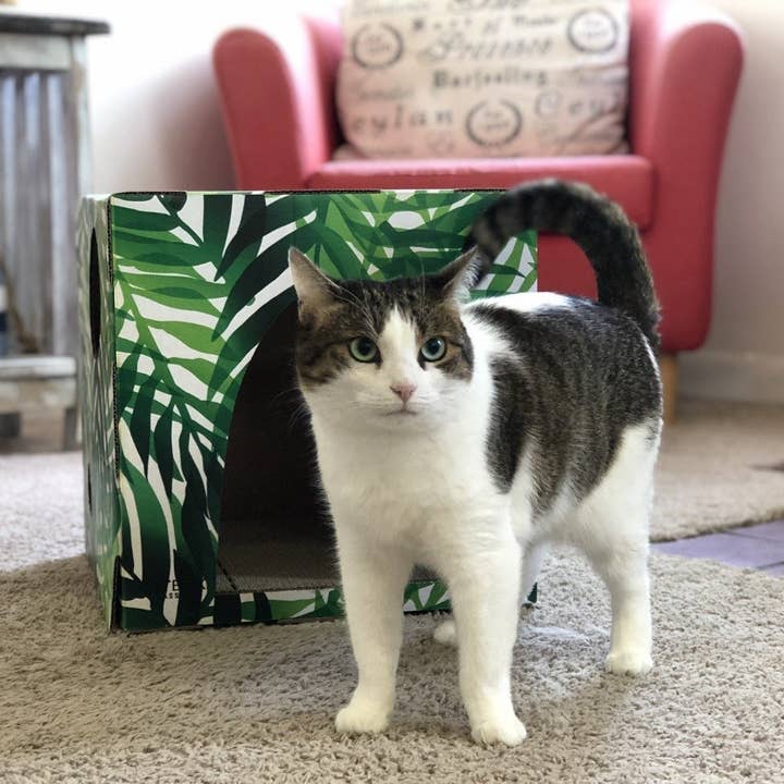 Cat Box Classics - Wholesale Pet Scratcher - Cat - Kitty Jungle Cardboard Cat House with Scratcher5