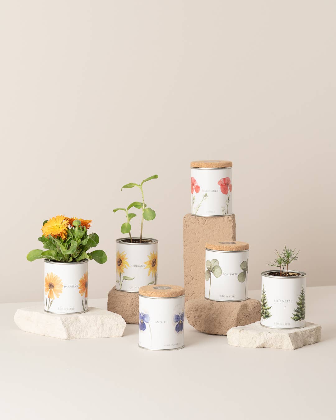 Life in a bag - Wholesale Plant Pot - Tin Can Garden "Merry Christmas" With Pine Tree2