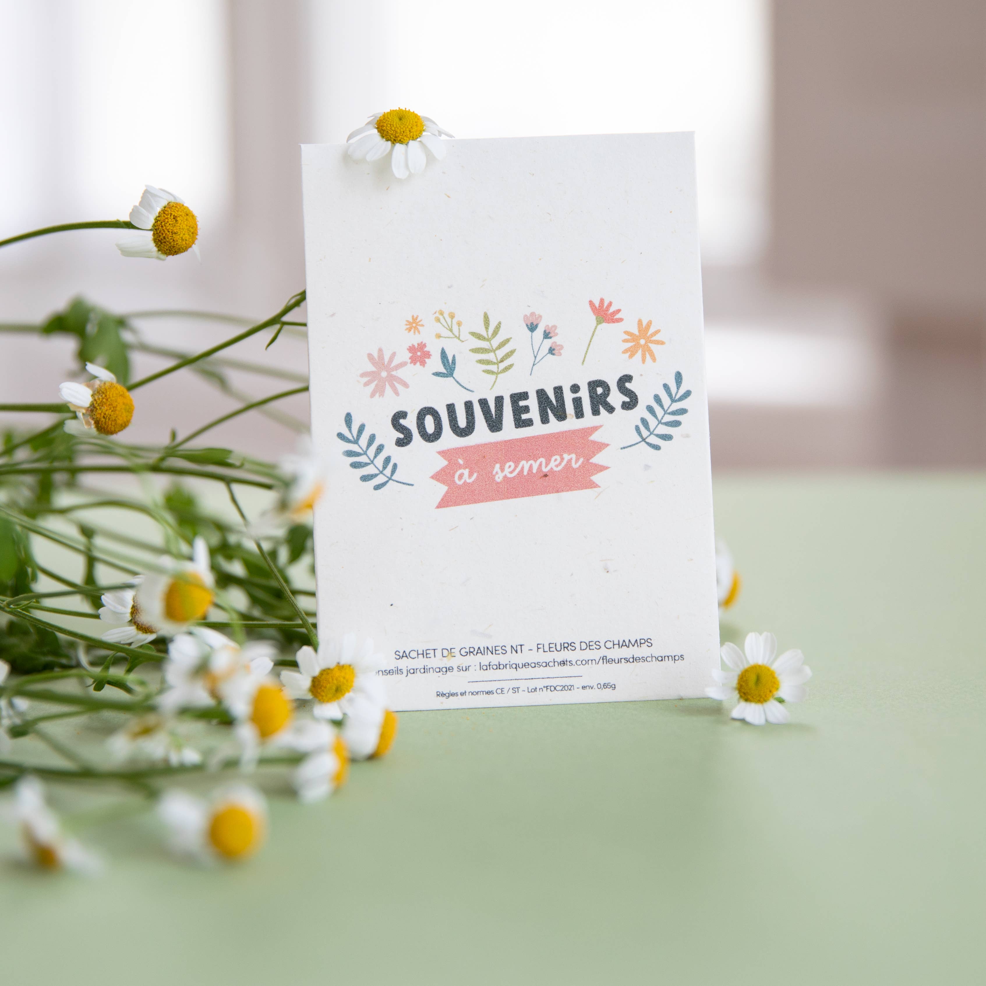 La Fabrique à Sachets - Wholesale Zaadjes voor platten - Sow souvenirs - zak met wilde bloemenzaad1
