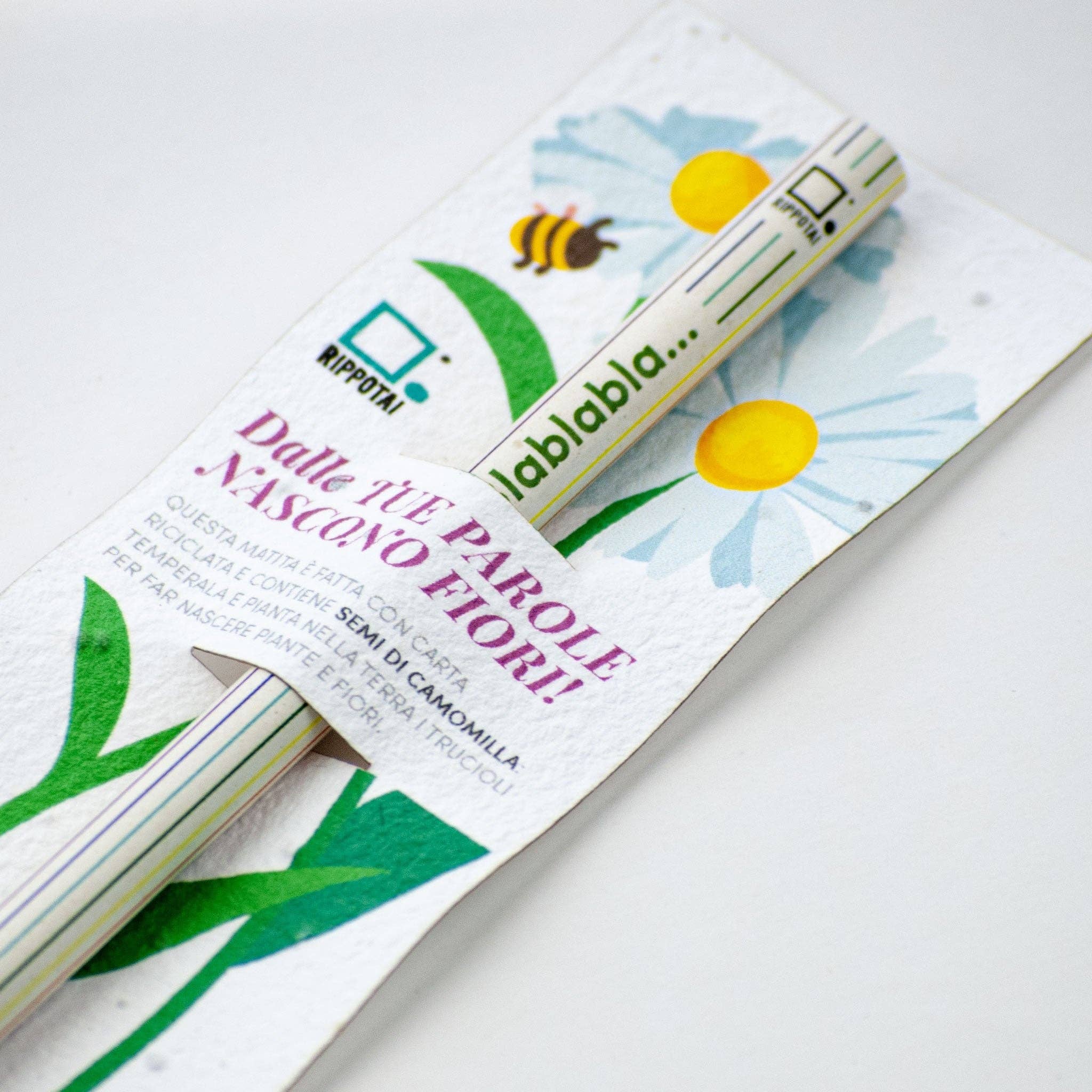 Rippotai – wholesale Pencil – Kit of 4 Pencils with Chamomile Seeds - Long live spring6