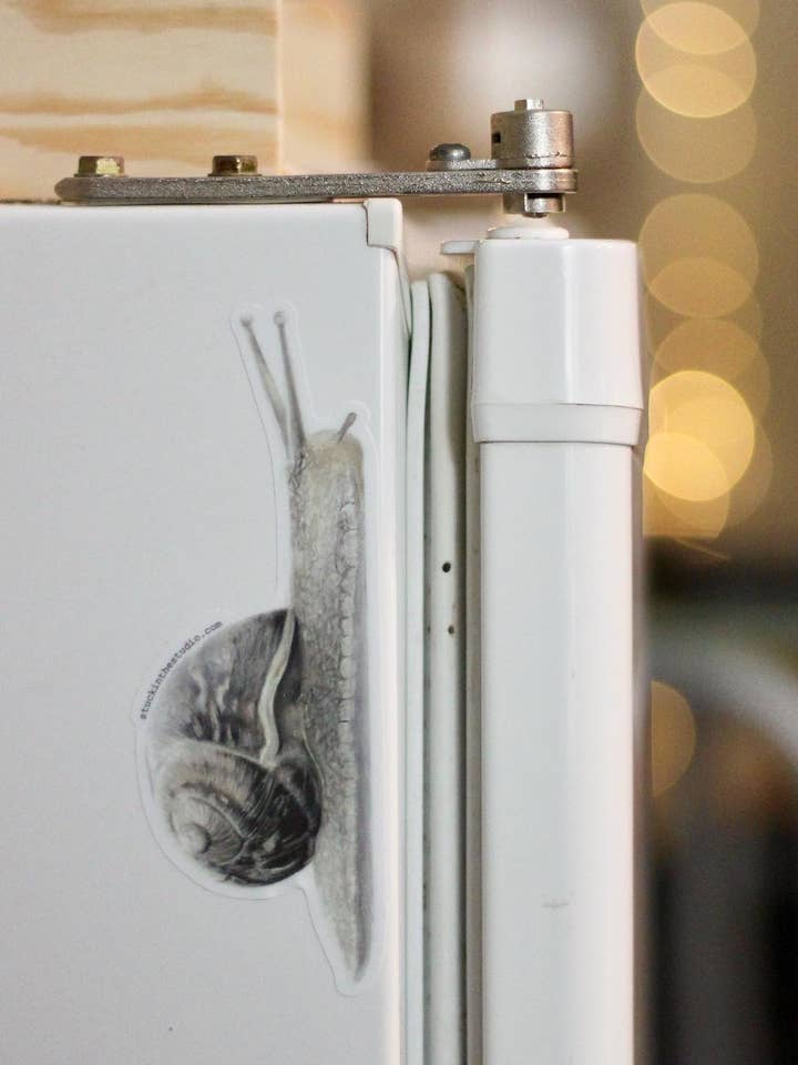 snail - sticker for wholesale by stĂĽck in the studio