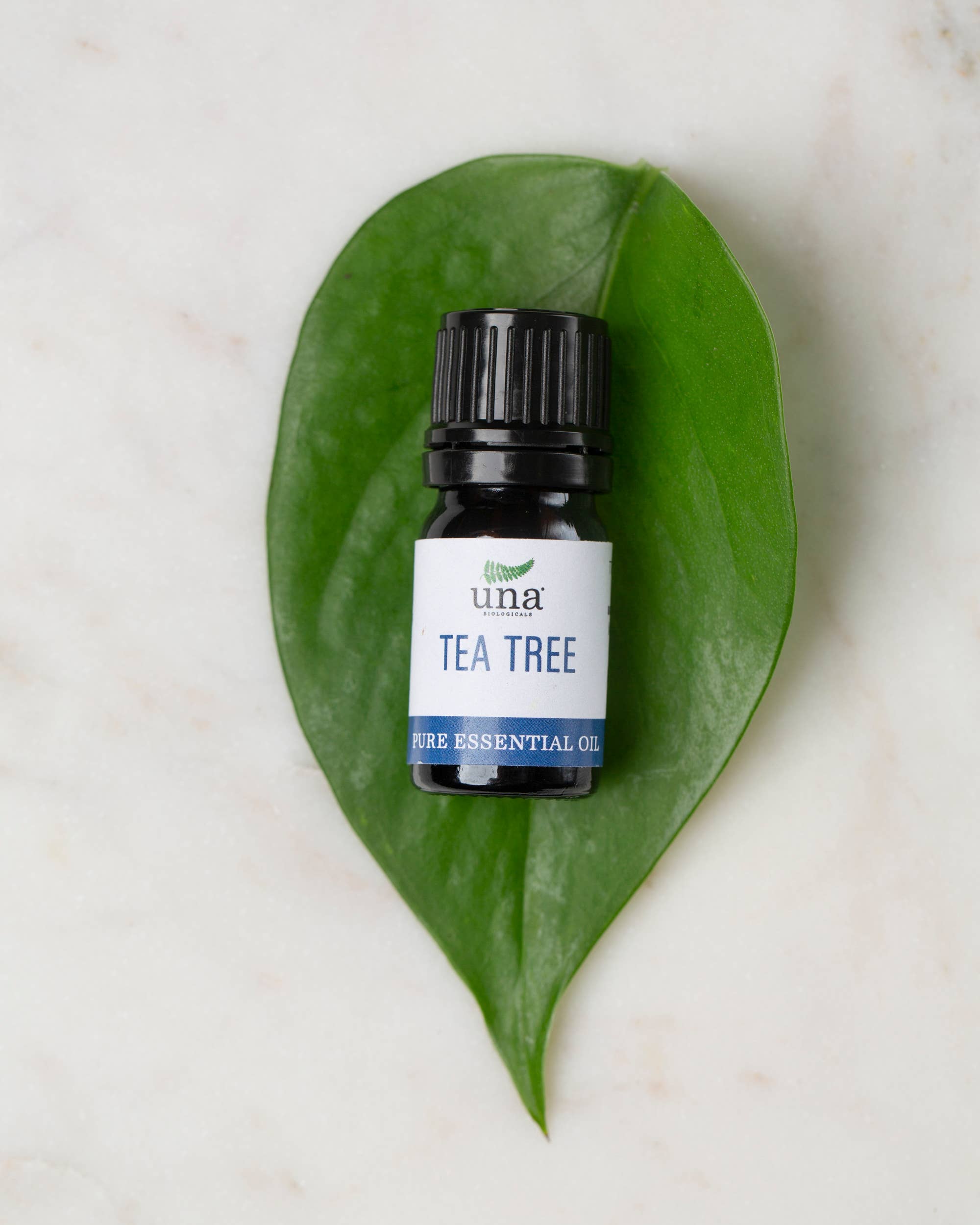 Una Biologicals - Wholesale Essential Oil - Tea Tree Essential Oil