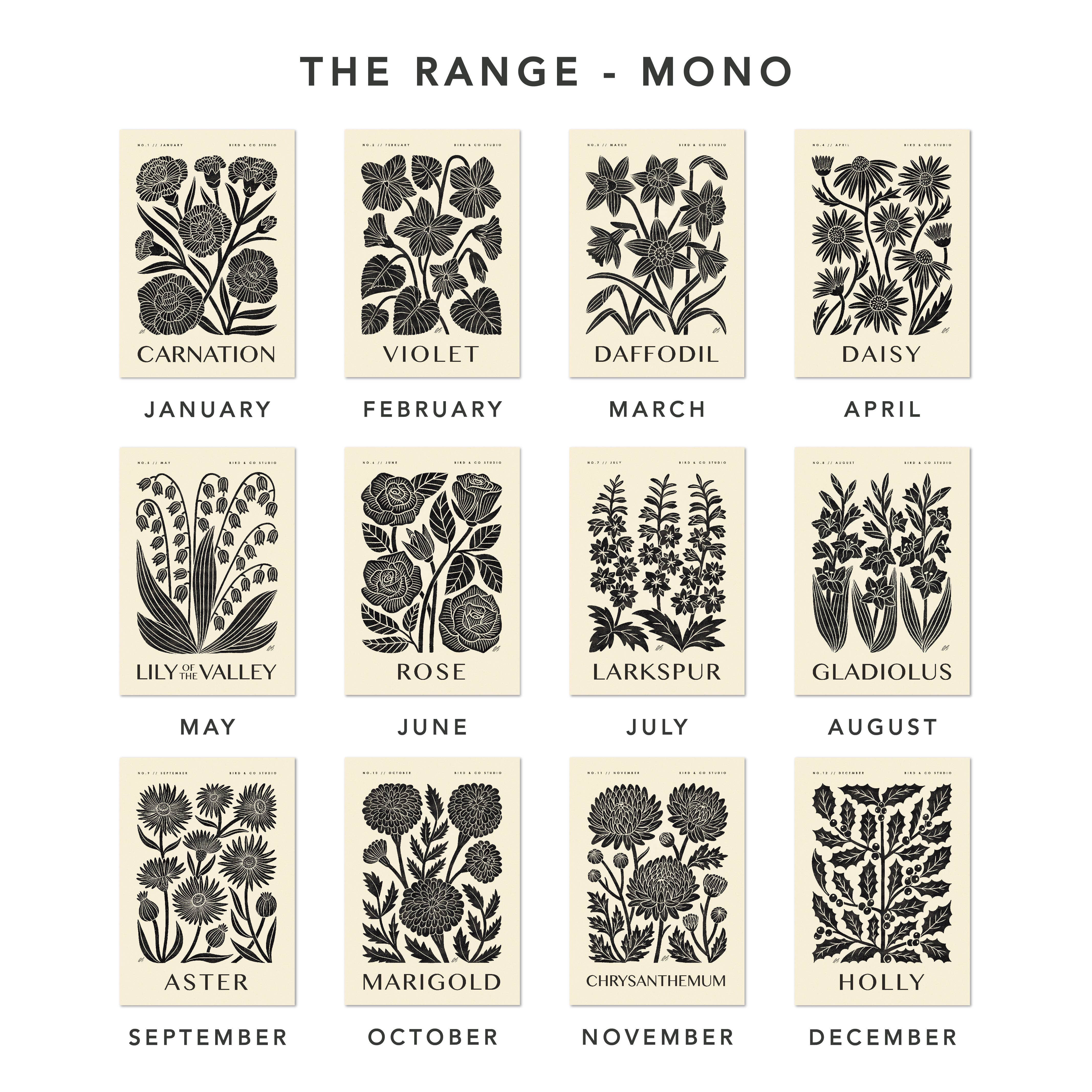 Bird & Co Studio - Wholesale Art Print - October Marigold | Botanical Birth Flower Art Print5