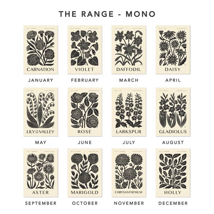 Bird & Co Studio - Wholesale Art Print - November Chrysanthemum | Botanical Birth Flower Art Print5