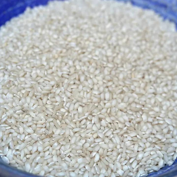 25 lb bulk Arborio for wholesale by Two Brooks Farm