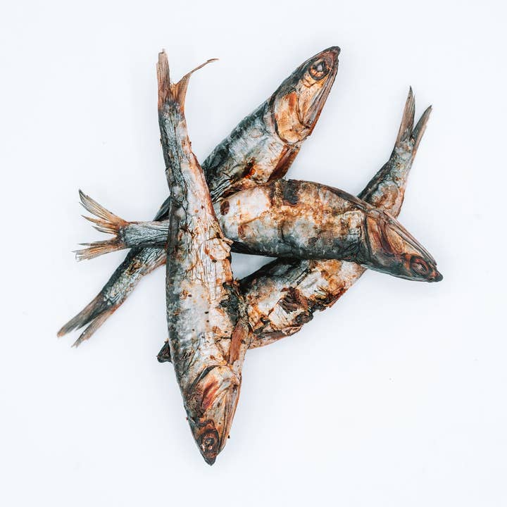 Torkade ansjovis (stora) för wholesale av Wild n Fresh Treats