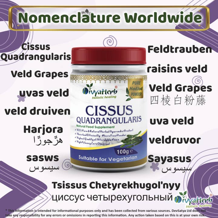 DevSatya Ltd Aushadh, Ayushya, Divyaherb - Wholesale Protein/Superfood Powder - Cissus Quadrangularis Powder1