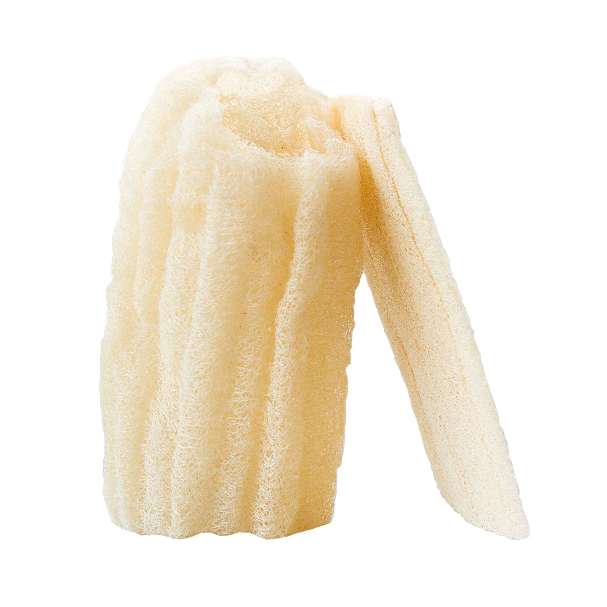 CHAMARREL - Wholesale Loofah - Raw loofah | Sustainable sponge1