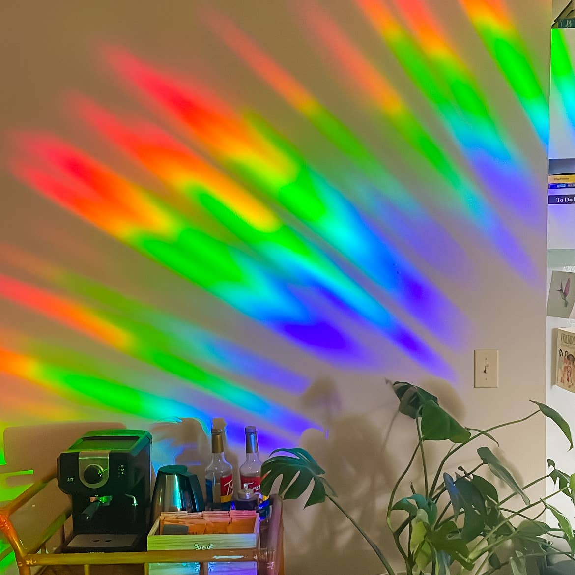 Little Viper Co – Großhandel Sonnenfänger – Mystischer Motten-Suncatcher Regenbogen-Maker-Aufkleber Sonnenfänger5