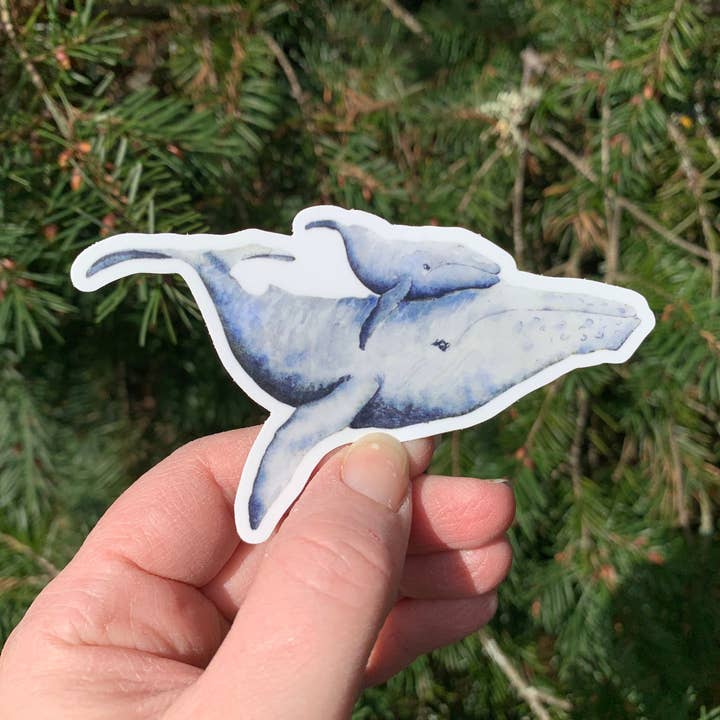 Adesivo de baleia e bezerro, decalque aquarela de vida selvagem por atacado de CMarie Northwest