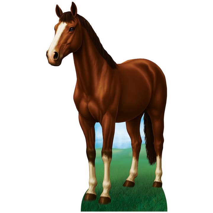 Cavalletto per cavallo con cavalletto, 4' 9½" x 33½" per la vendita all'ingrosso da parte di Beistle