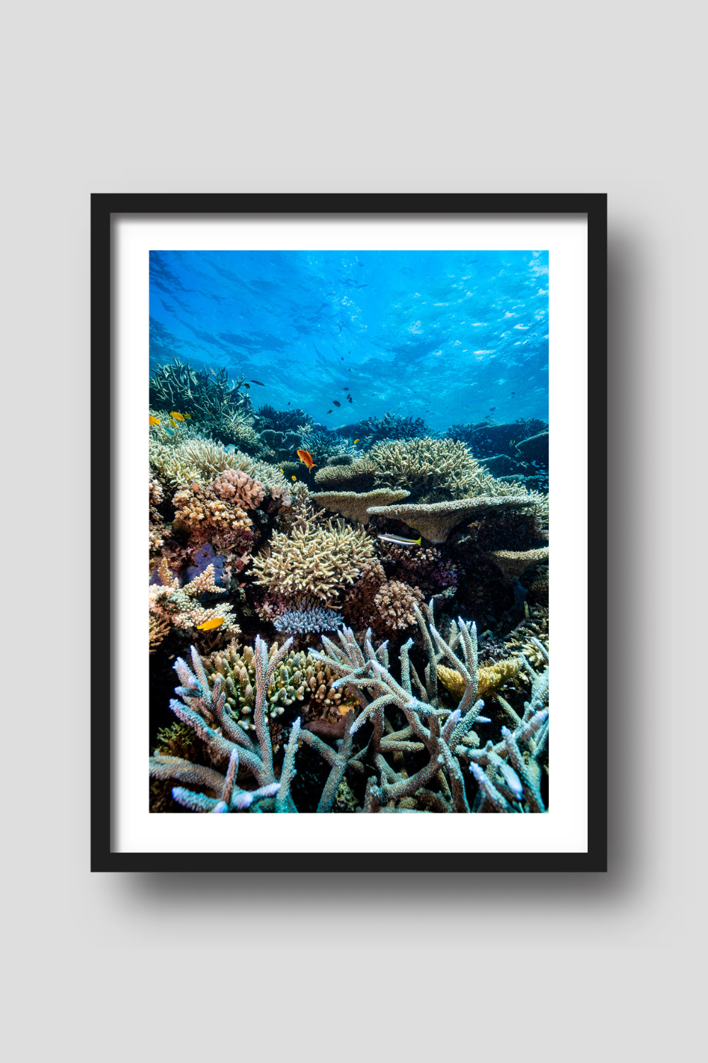 Above And Below Gallery - Wholesale Art print - Lower Levels0