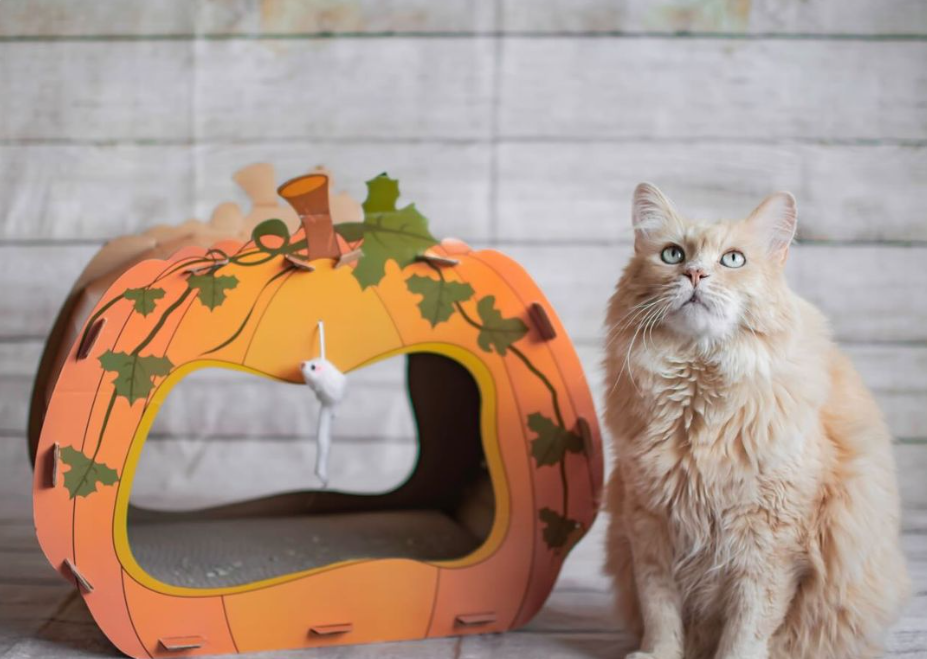 Midlee Designs – wholesale Kattkliare - Katt – Midlee Halloween pumpa katt skrapare hus13