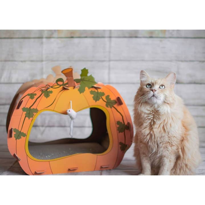 Midlee Designs – wholesale Kattkliare - Katt – Midlee Halloween pumpa katt skrapare hus13