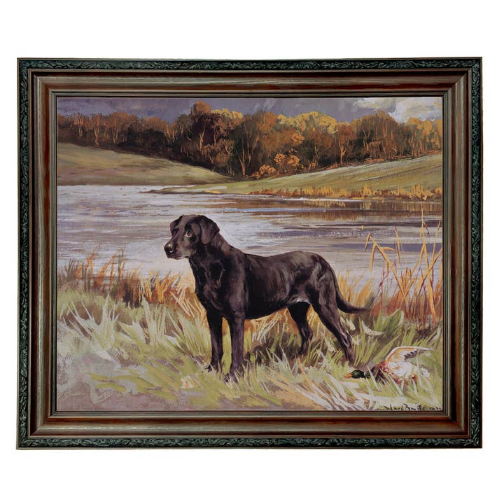 Madison Bay Co. - Historical Home Decor Reproductions - Wholesale Art Print - Labrador Retriever with Duck Framed Painting Print on Canvas90