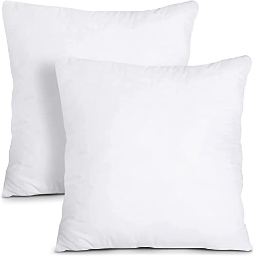 Ergodebrands - Wholesale Pillow Insert - Throw Pillow Inserts - White, 18 x 18 inches (Set of 2)0