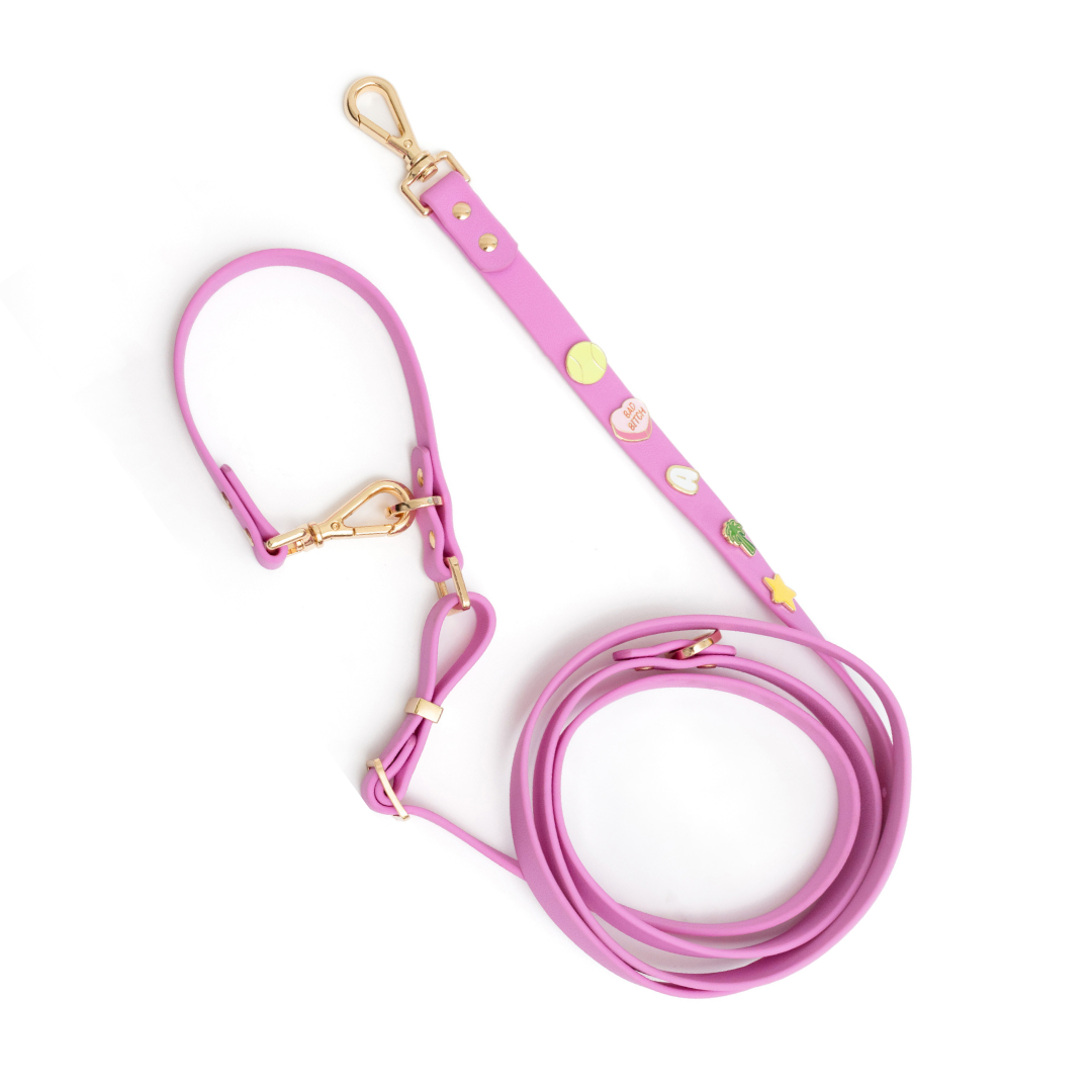 Furei Pets - Wholesale Pet Leash - Dog - Moodies 4-in-1 Leash3