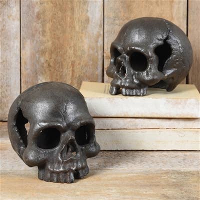 HomArt - Wholesale Decorative Tabletop Object - Skull, No Jaw - Natural