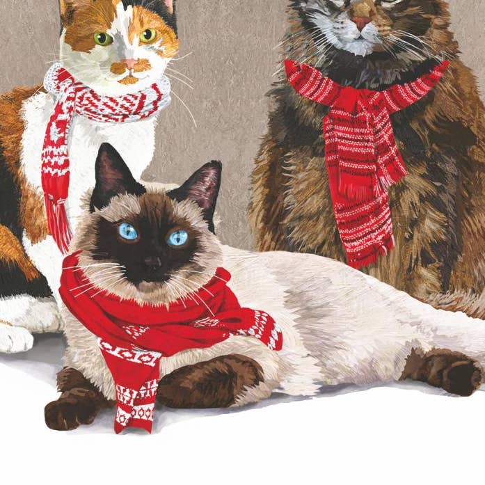 BEV-SCARF CATS for wholesale by Paperproducts Design • Ambiente