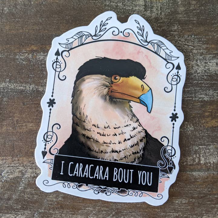 I Caracara Bout You Sticker for wholesale by Sarah Terrell Illustration & Design