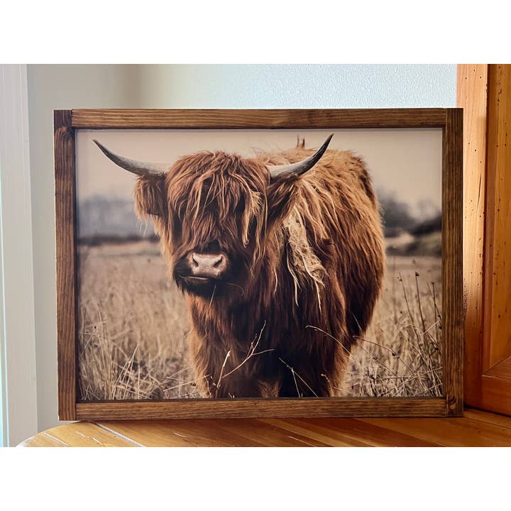 Highland Cow Color for wholesale by B & C Signs