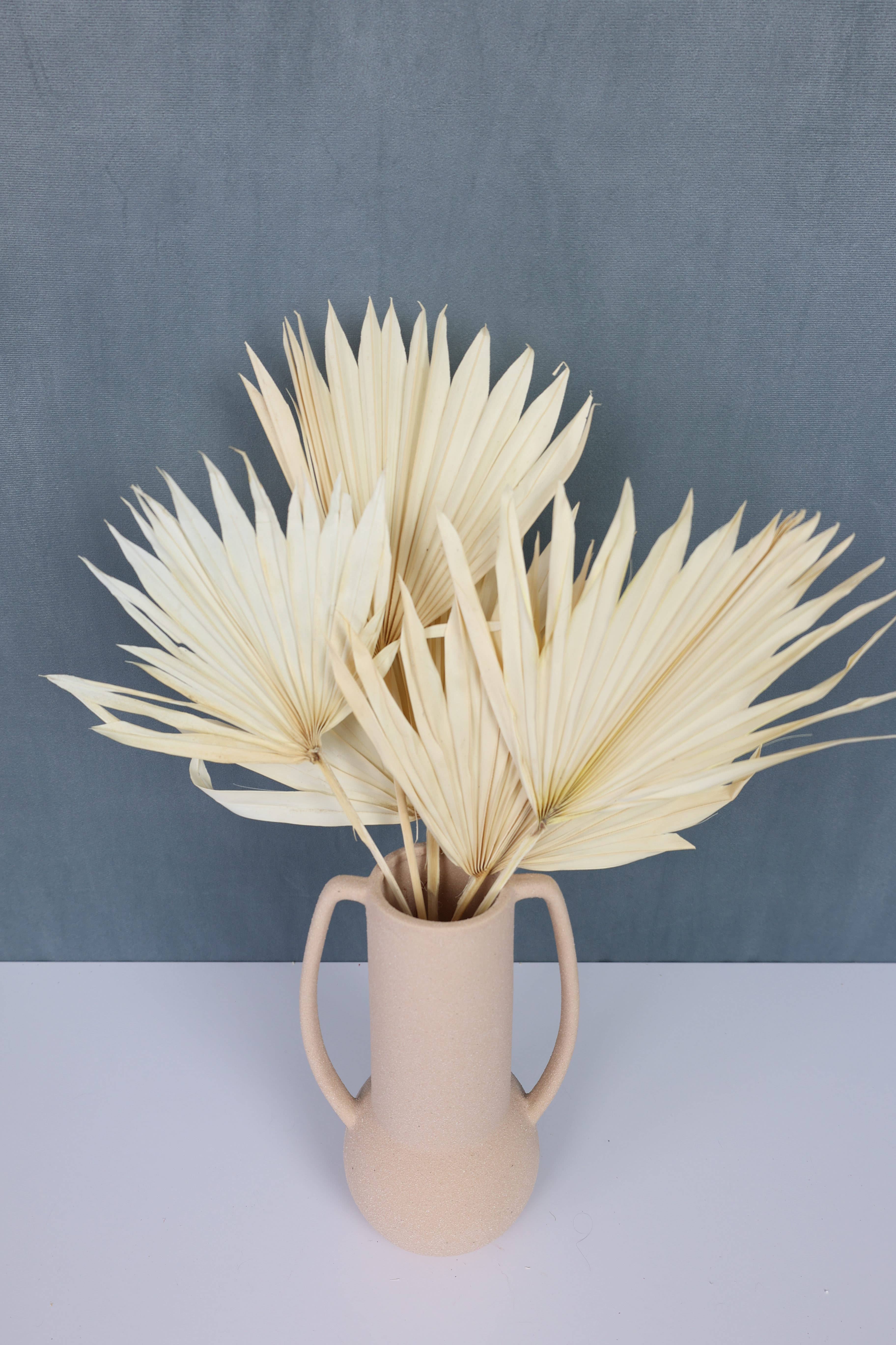 FlowerFantaSee – wholesale Dried/pressed flowers – Dried Sun Palm Leaf Fans -Cream (Set of 5)2