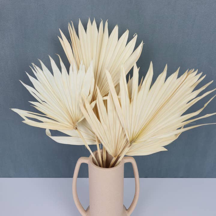 FlowerFantaSee - Wholesale Dried/Pressed Flowers - Dried Sun Palm Leaf Fans -Cream (Set of 5)2