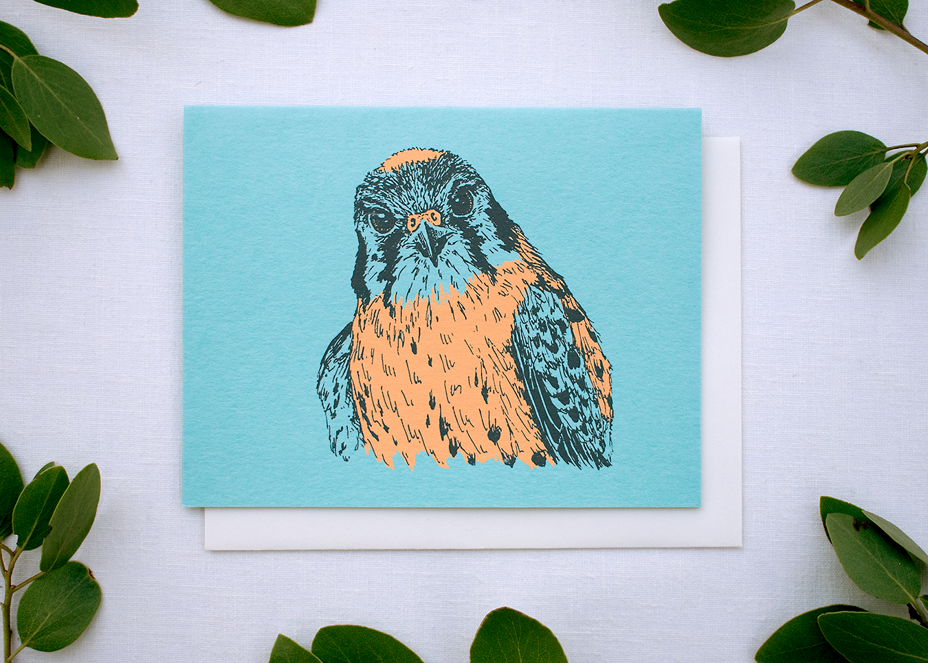 Farm and Finch Creative - Wholesale Everyday Greeting Card - American Kestrel Card5
