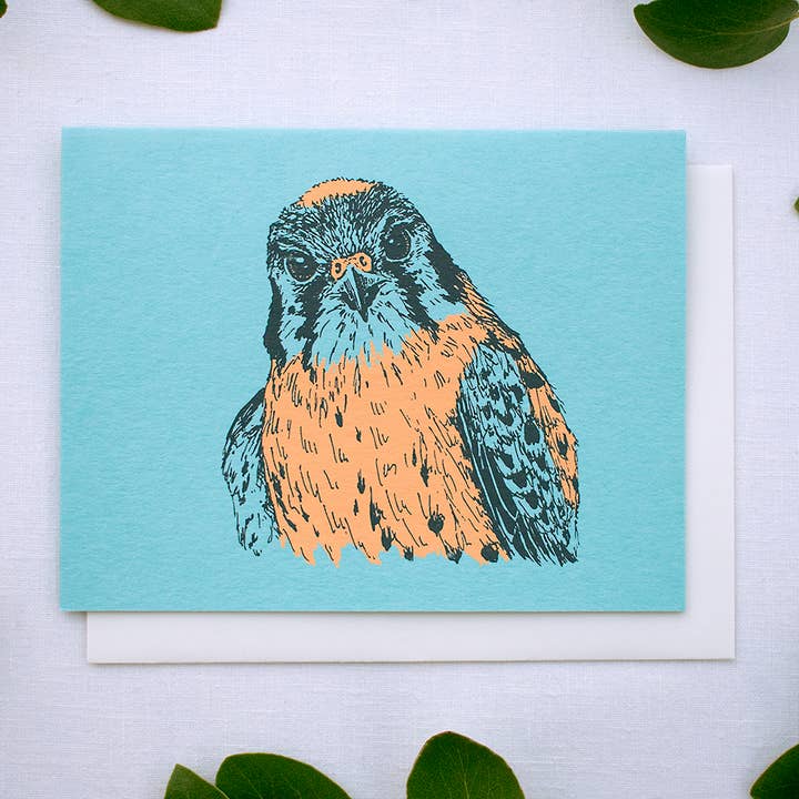 Farm and Finch Creative - Wholesale Everyday Greeting Card - American Kestrel Card5