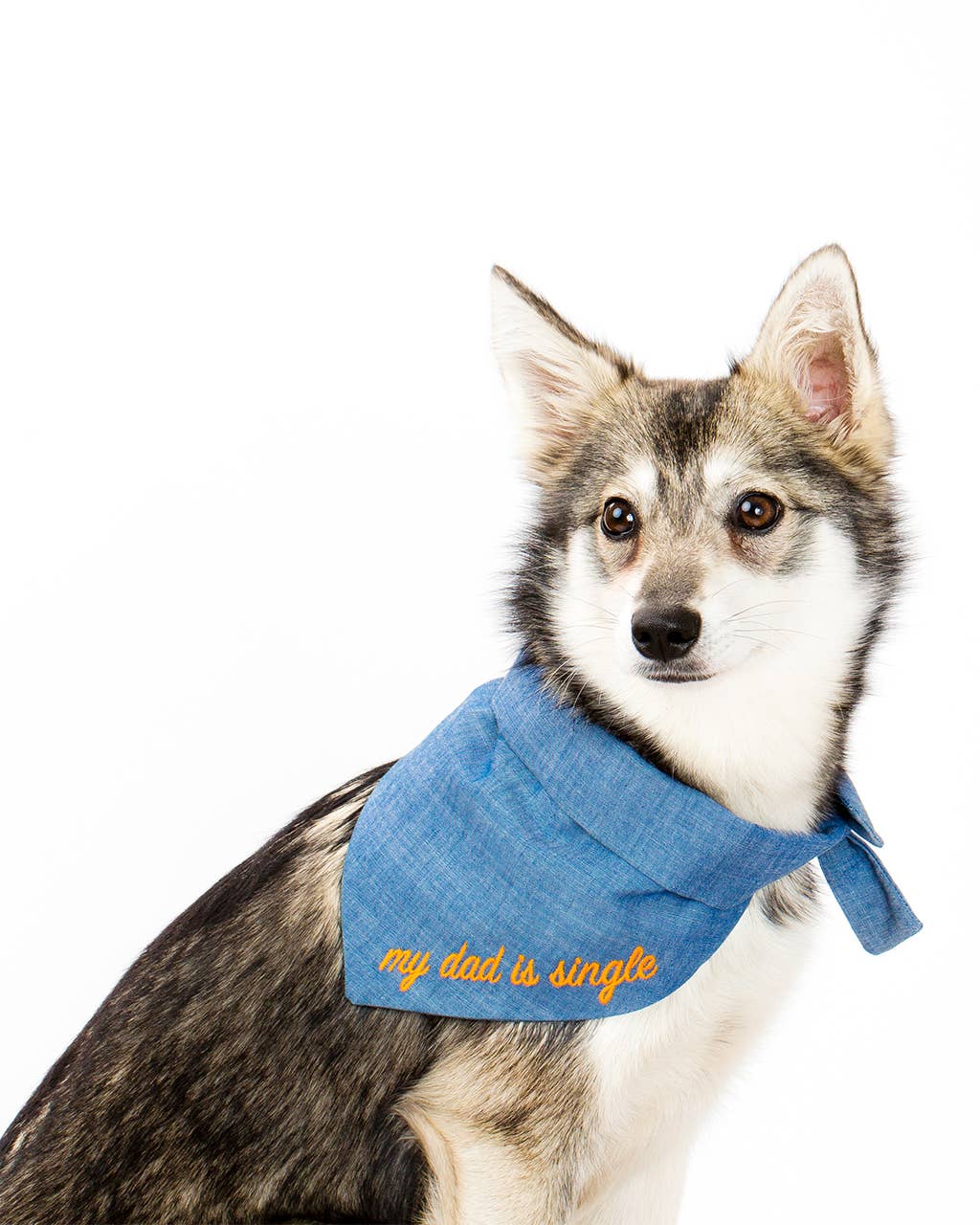 MODERNBEAST - Wholesale Pet Bandana - Dog - EMBROIDERED BANDANA Cotton Pet Apparel2
