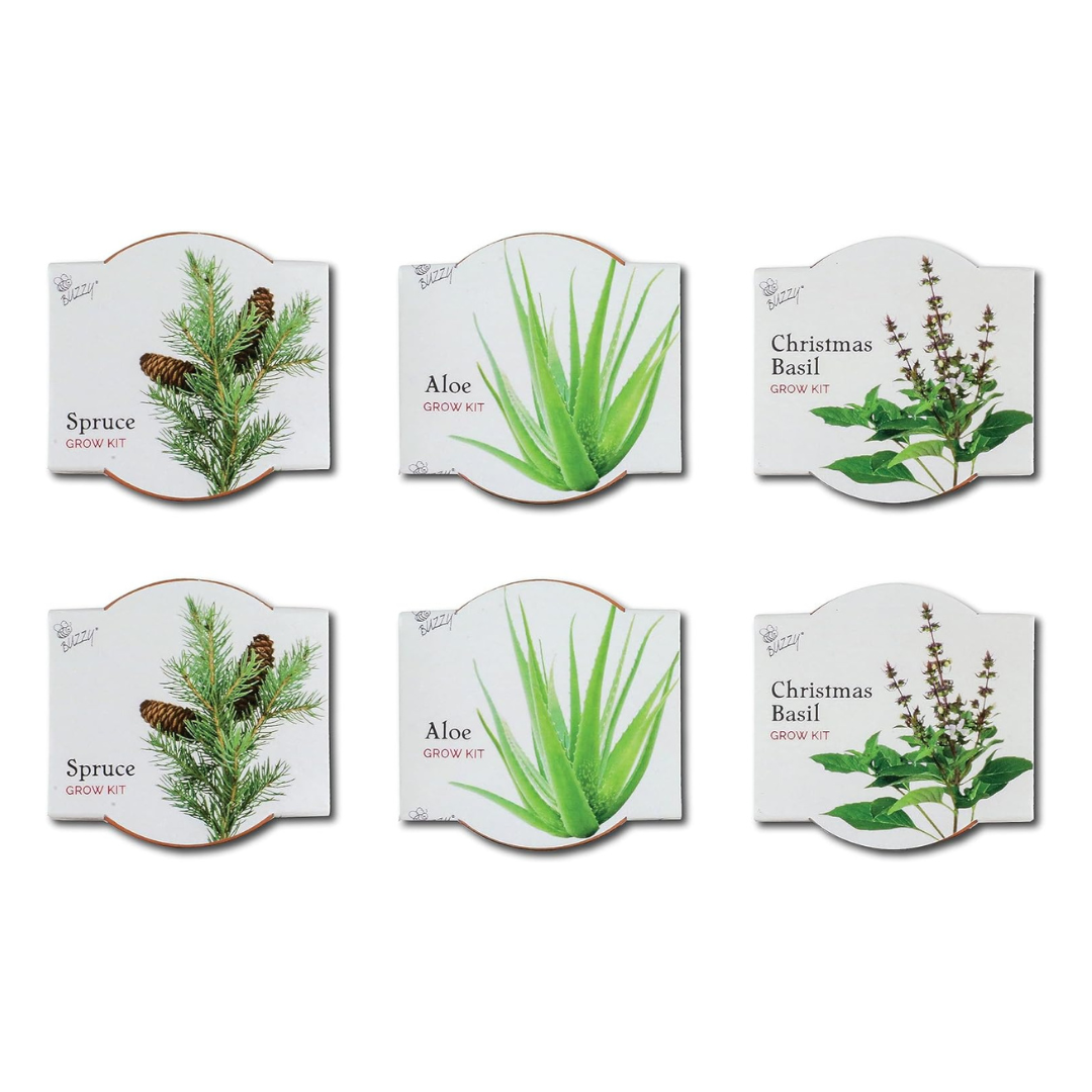 Buzzy Seeds Grow Gifts - Wholesale Plant Pot - Mini Terracotta Holiday Grow Pots – Assorted Gift Set (12pk)2