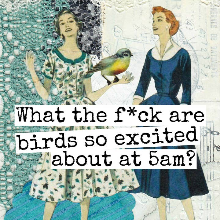 Raven's Rest Studio – Íman por atacado – Imã de geladeira. Por que diabos os pássaros estão tão animados...