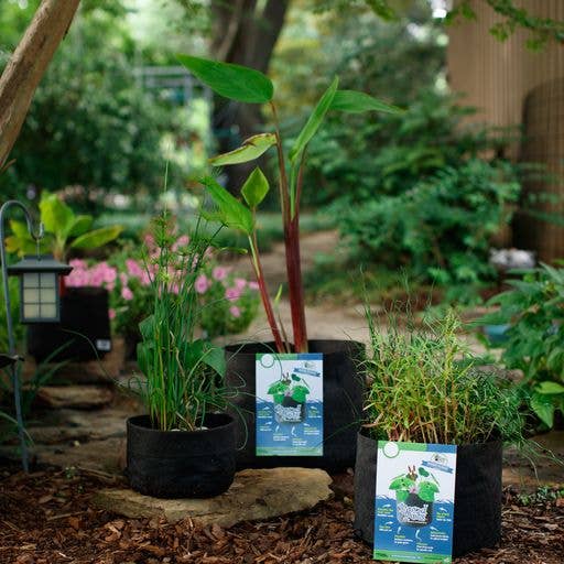 Smart Pots - Venta al por mayor Macetas - Macetas para estanque de 10 galones8